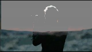 Sting - Desert Rose
